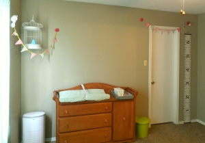 I want to paint the changing table!